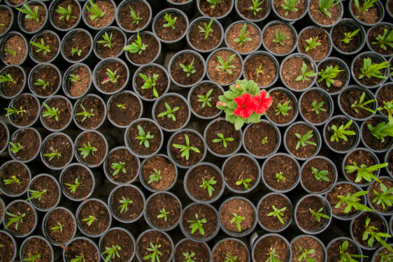 Indywidualne podejście